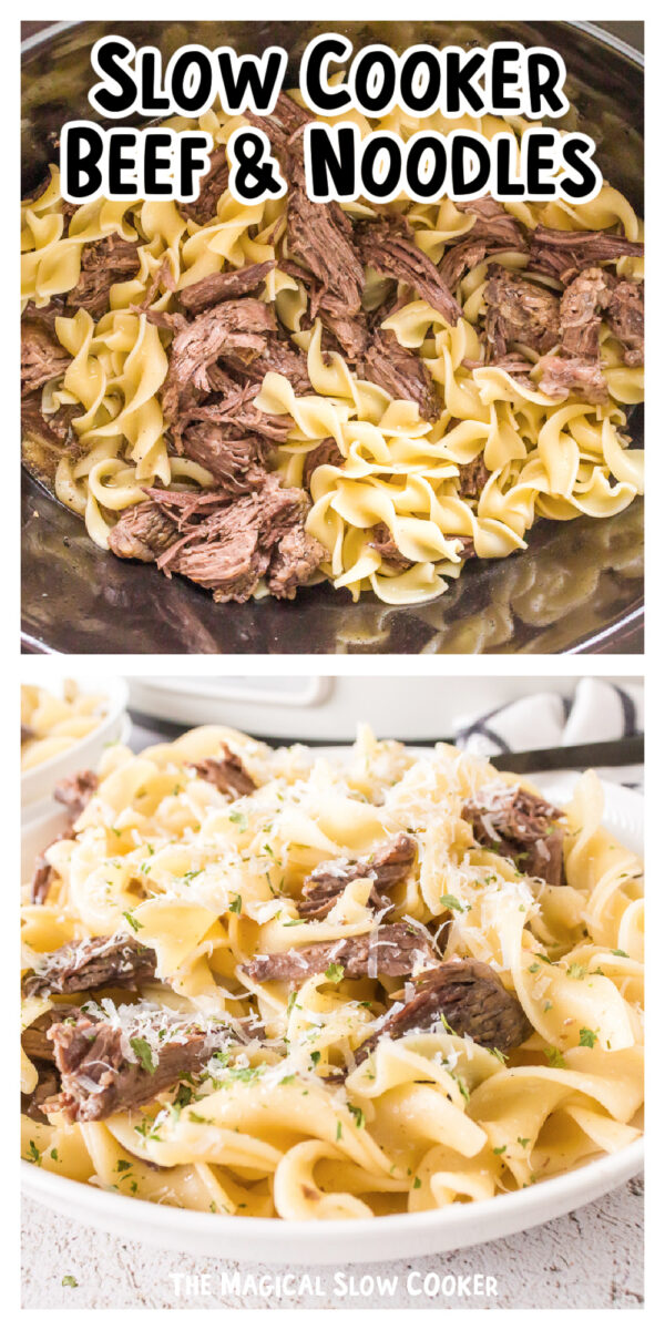 long images of beef and noodles for pinterest.