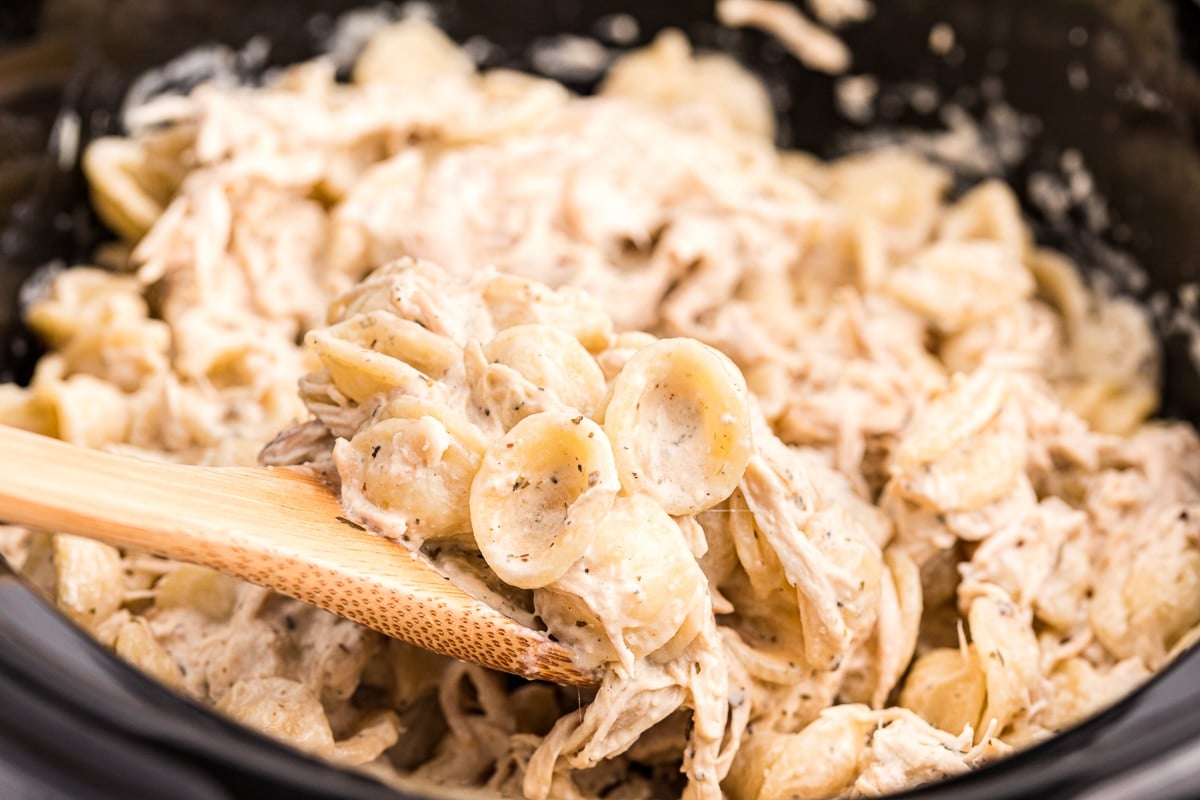 close up of boursin cheese chicken pasta made with orecchiette pasta.