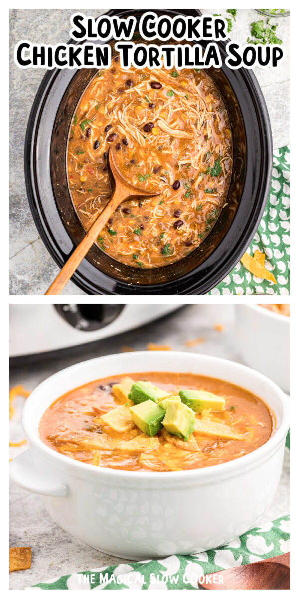 chicken tortilla soup long image with text for pinterest.