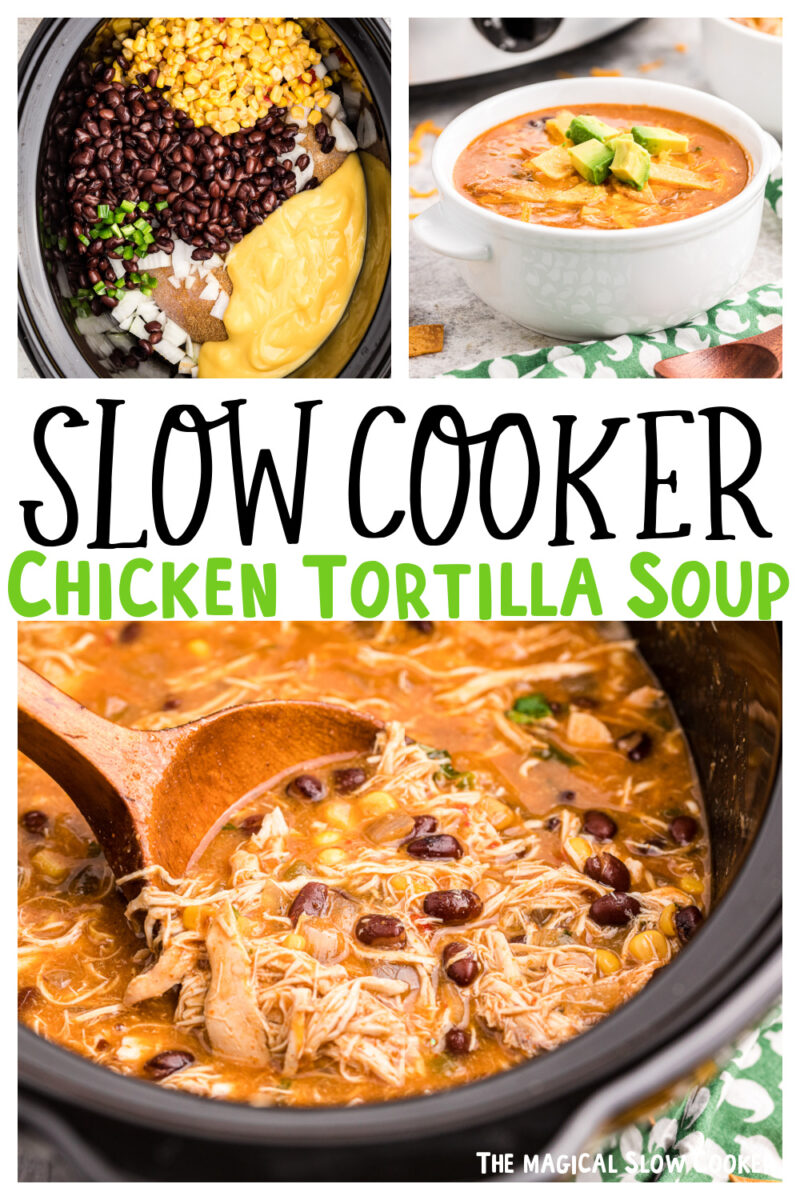 chicken tortilla soup images with text overlay for pinterest.