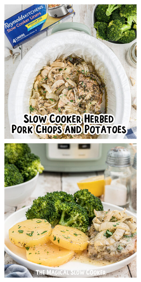 Long image of herbed pork chops for pinterest.