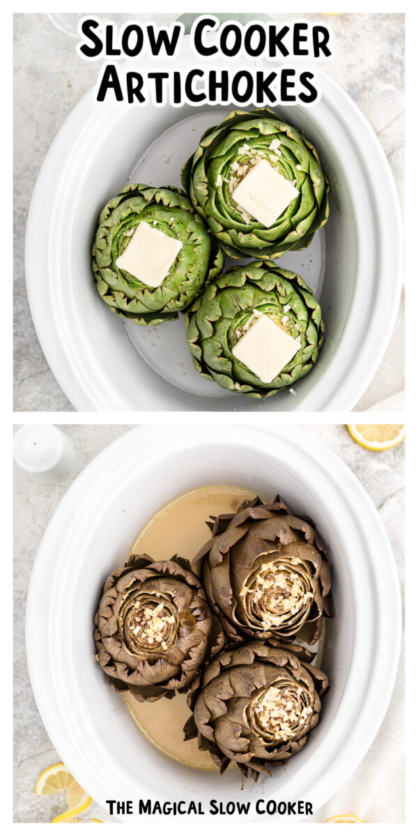 Long image of before and after cooking artichokes for pinterest.