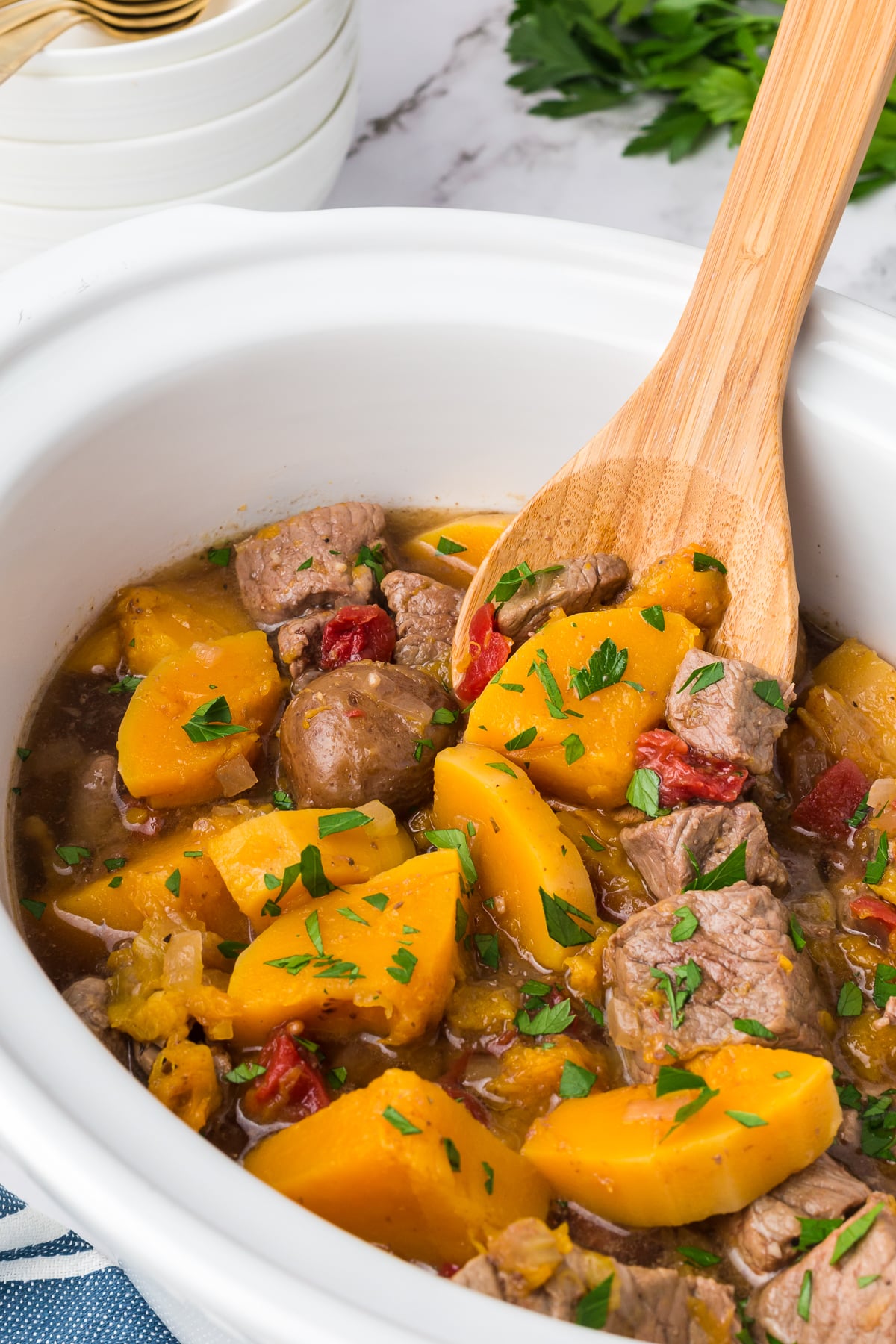 Beef and butternut squash stew in the crockpot.