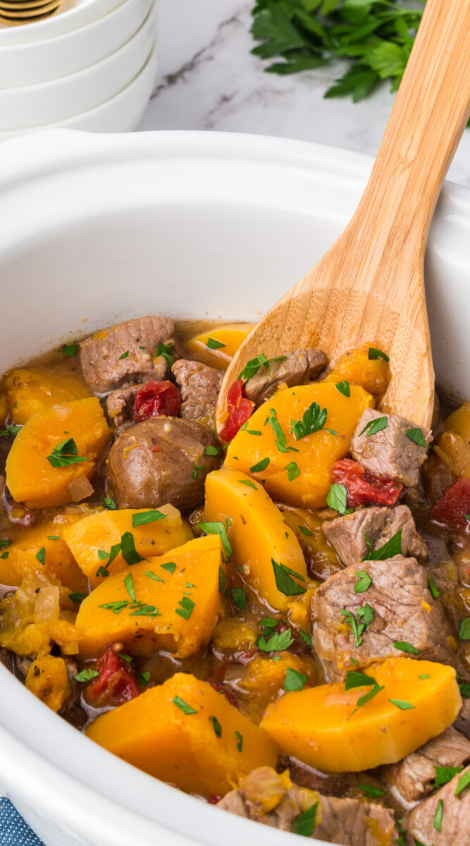 long image of butternut squash beef stew.