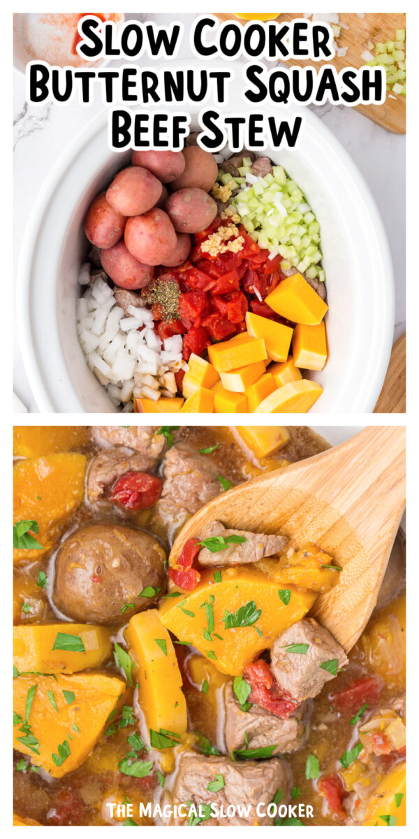 long image of butternut squash beef stew for pinterest.