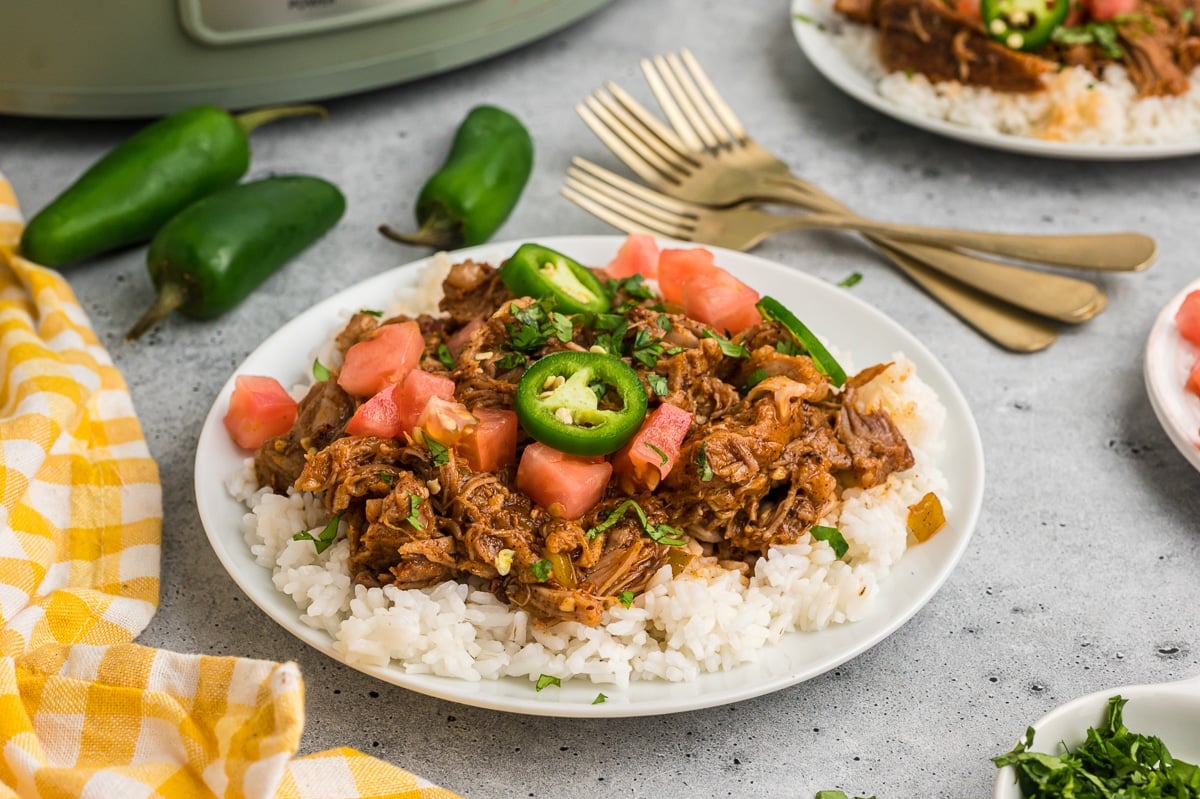 plate of shredded cafe rio sweet pork on a bed of rice.