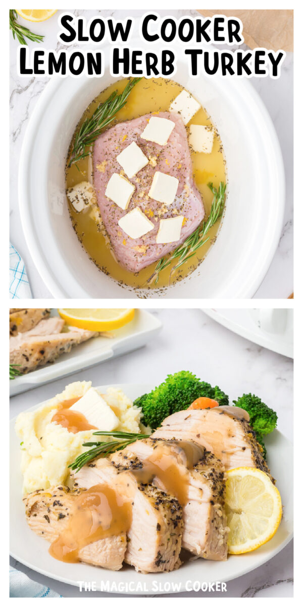 long image pf lemon herb turkey.