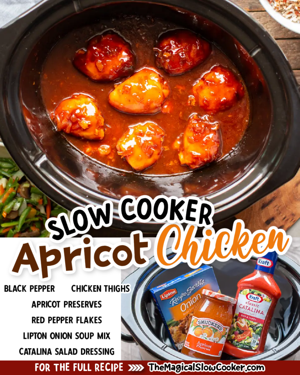 3-Quart Slow Cooker Apricot Chicken Recipe • A Weekend Cook®