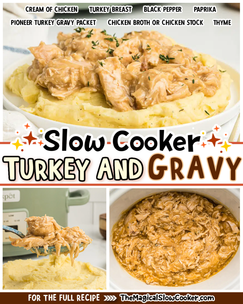 Collage of turkey and gravy with text of what the ingredients are.