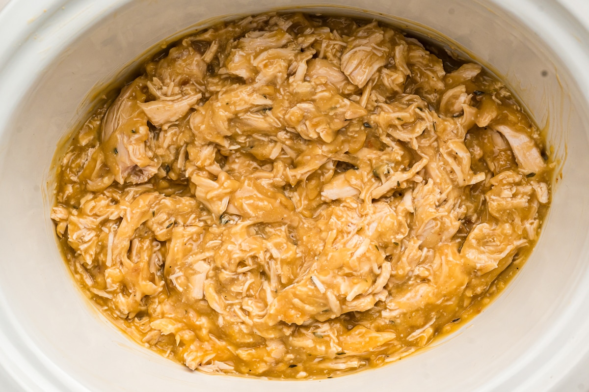 turkey and gravy in a crockpot