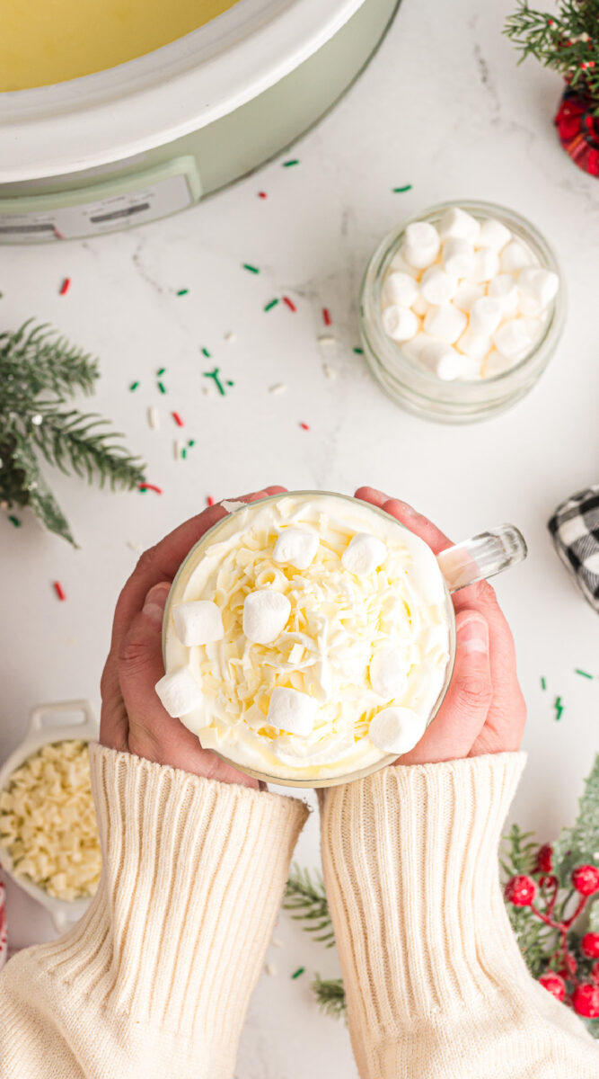 Hands holding mug of white hot chocolate.