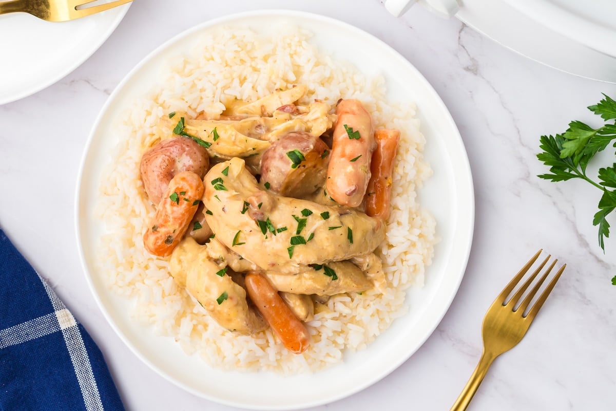 Cooked chicken and vegetables on a plate.