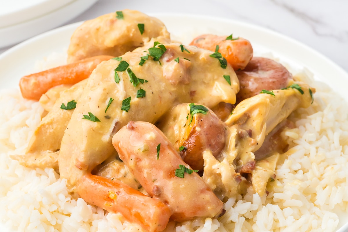 cooked chicken in a creamy sauce on rice.