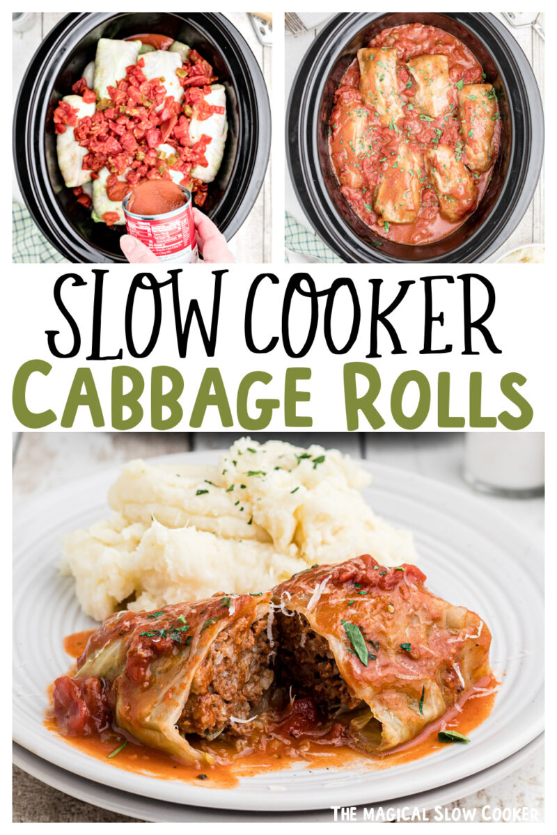 collage of cabbage rolls images with text overlay for pinterest.