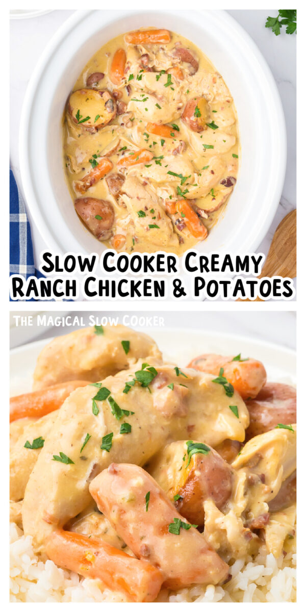 creamy ranch chicken long image of pinterest.