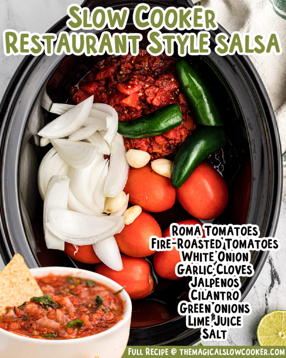 Images of slow cooker salsa for facebook.