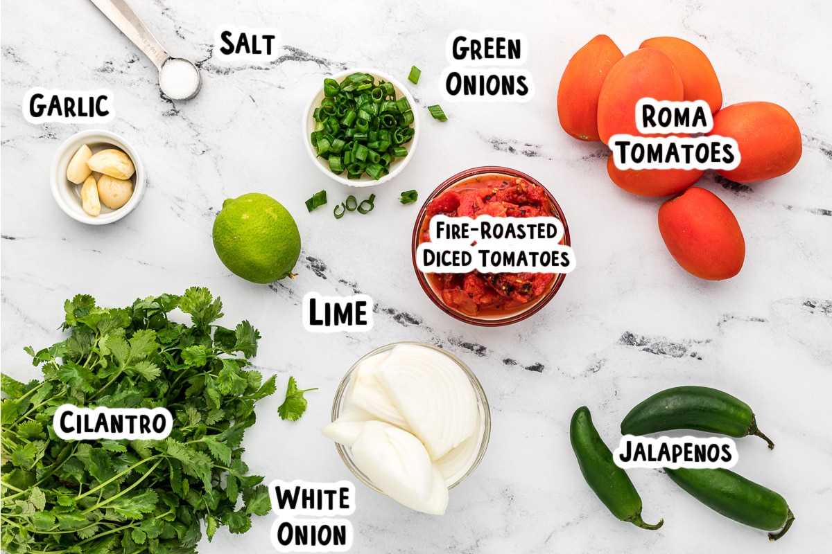 Ingredients for salsa on a table.
