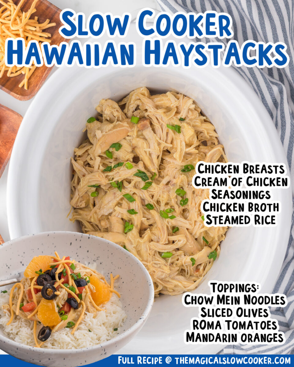 Image of hawaiian haystacks with text overlay for pinterest or facebook.