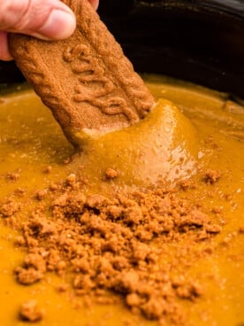 Biscoff cookie being dipped into crockpot pumpkin dip.