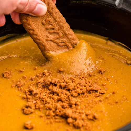 Biscoff cookie being dipped into crockpot pumpkin dip.