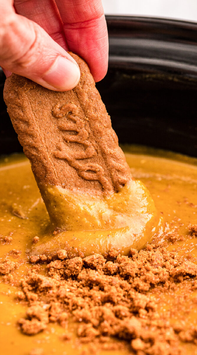 long image of cookie being dipped into pumpkin pie dip.