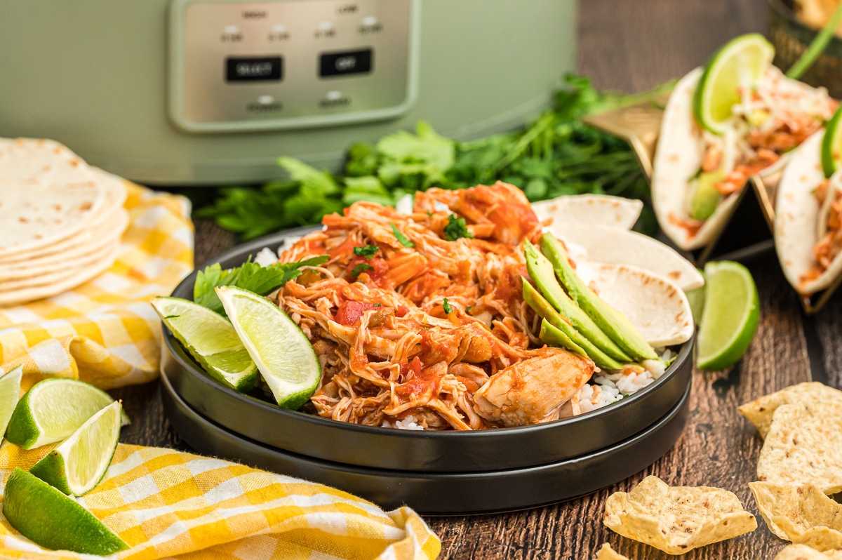 plate of rice with salsa chicken on top.