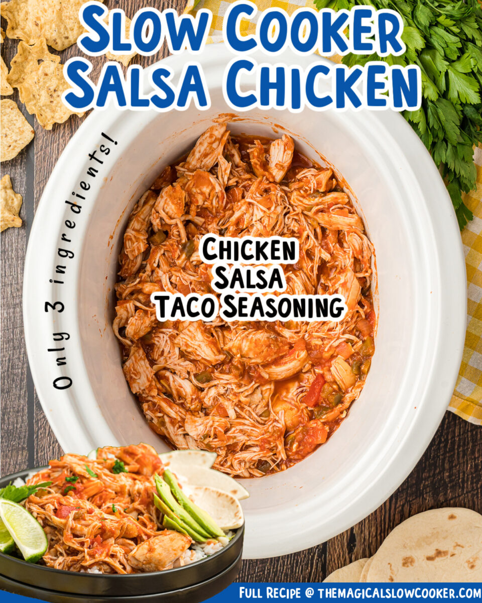 photos of salsa chicken for facebook.