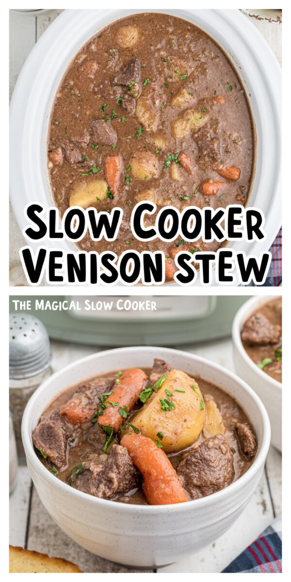 2 images of venison stew for pinterest.