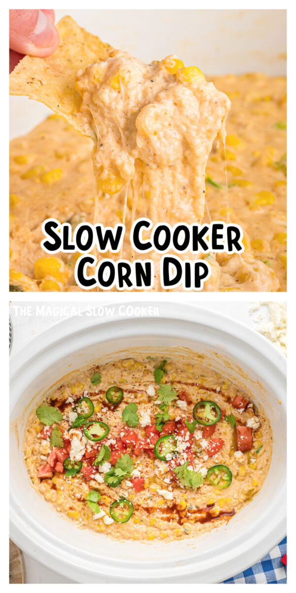 25 Great Slow Cooker Dips