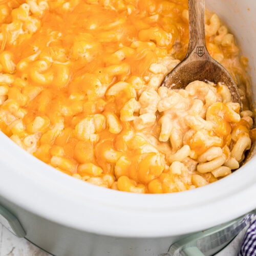 cooked mac and cheese in a slow cooker.