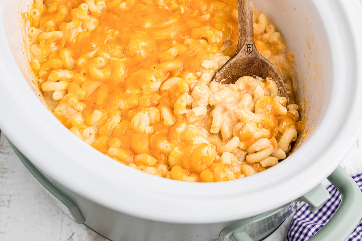 cooked mac and cheese in a slow cooker.