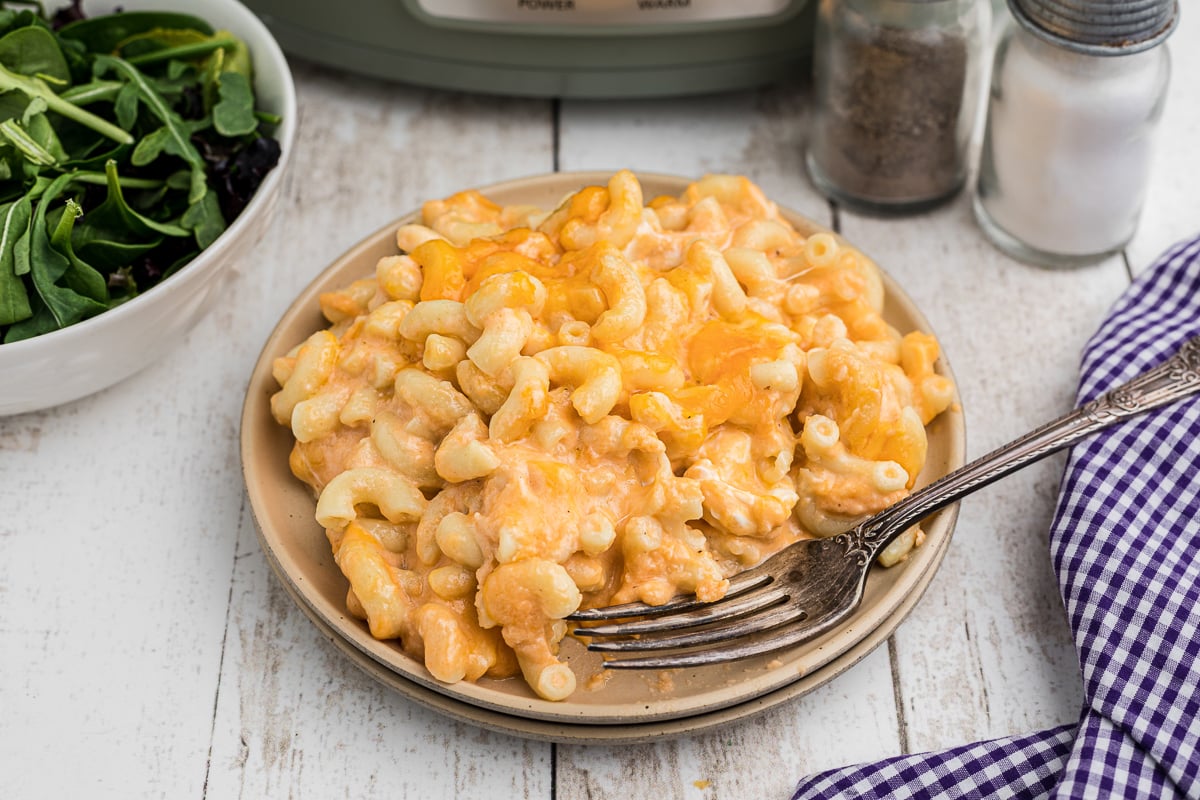 Mac and cheese on a plate with a fork.