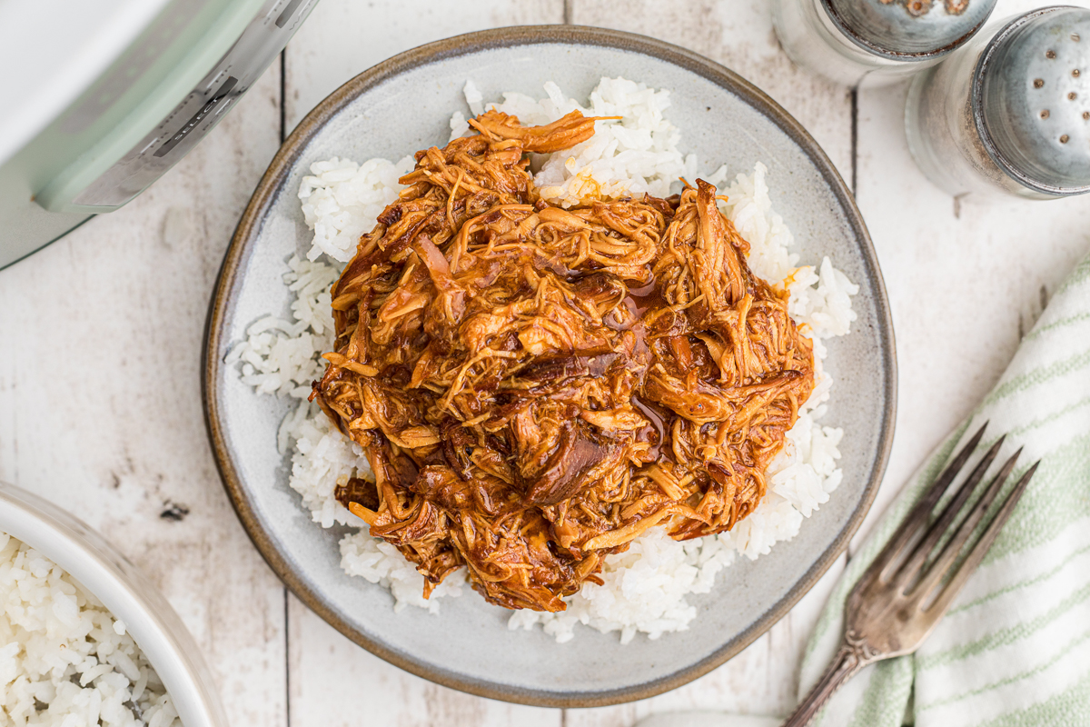 Overhead shot of apricot chicken on rice.