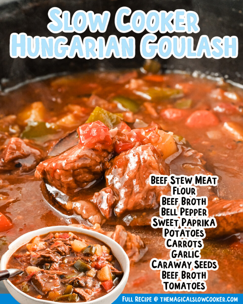 2 images of hungarian goulash for face book.