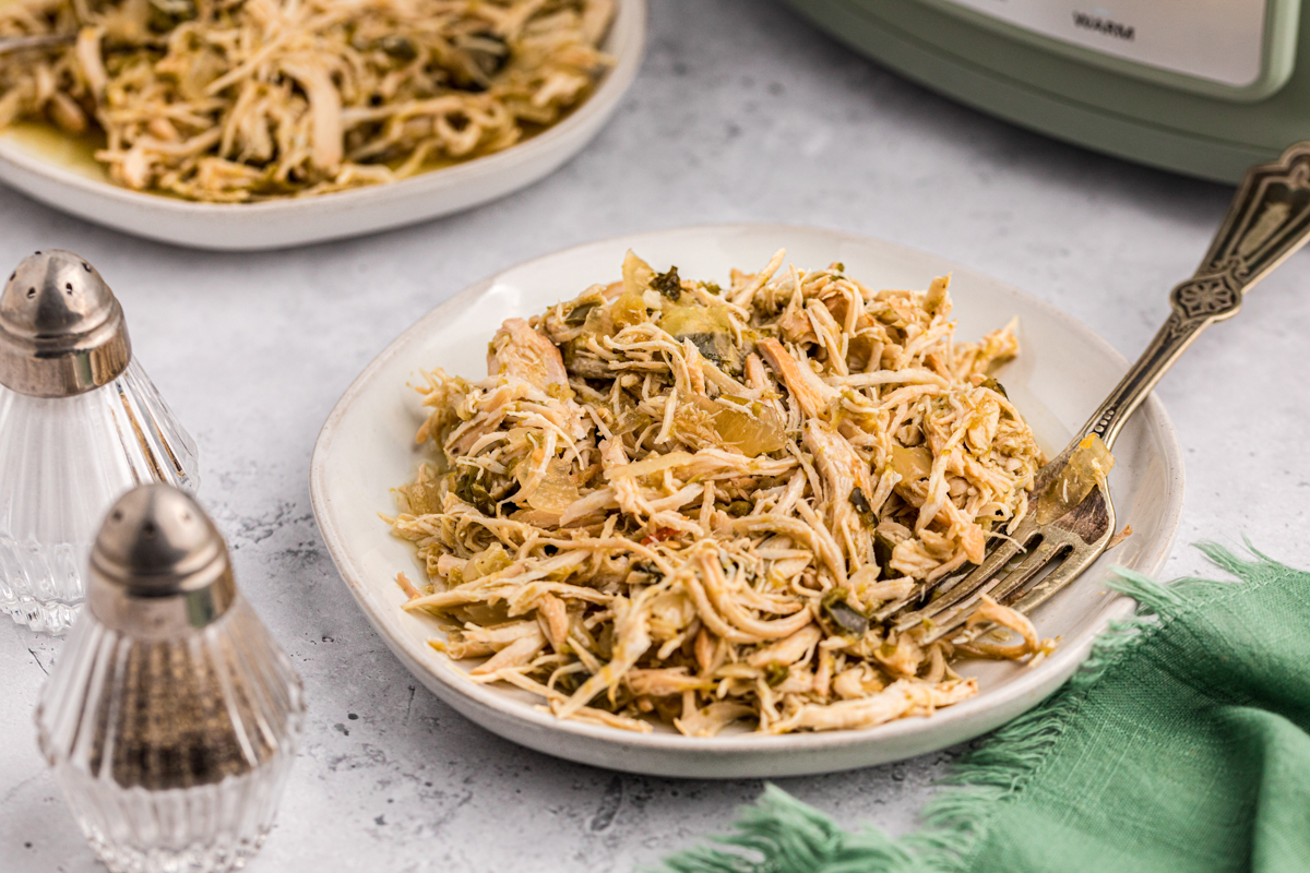 plate of salsa verde chicken.