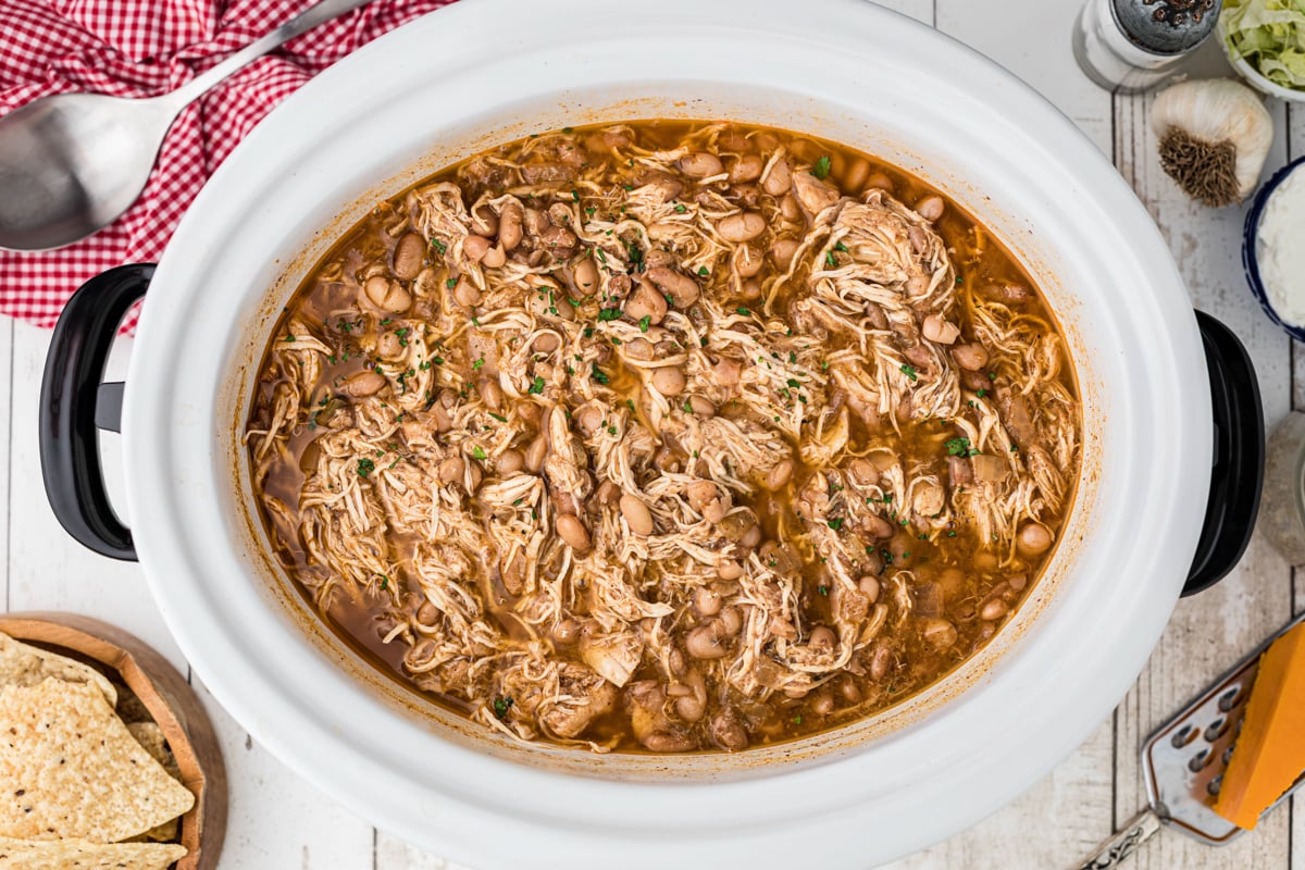 overhead shot of chicken and pinto beans in a slow cooker.