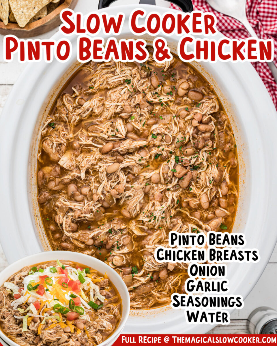 Slow cooker pinto beans and chicken.