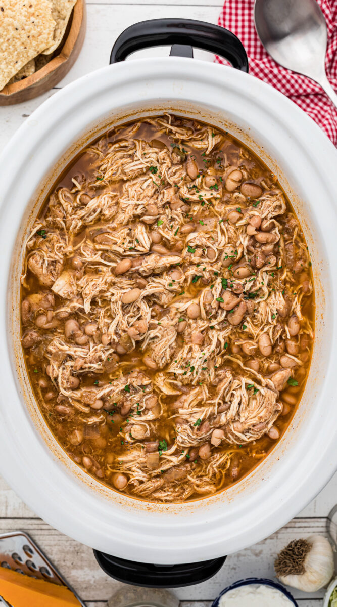 Long image of pinto beans and chicken.