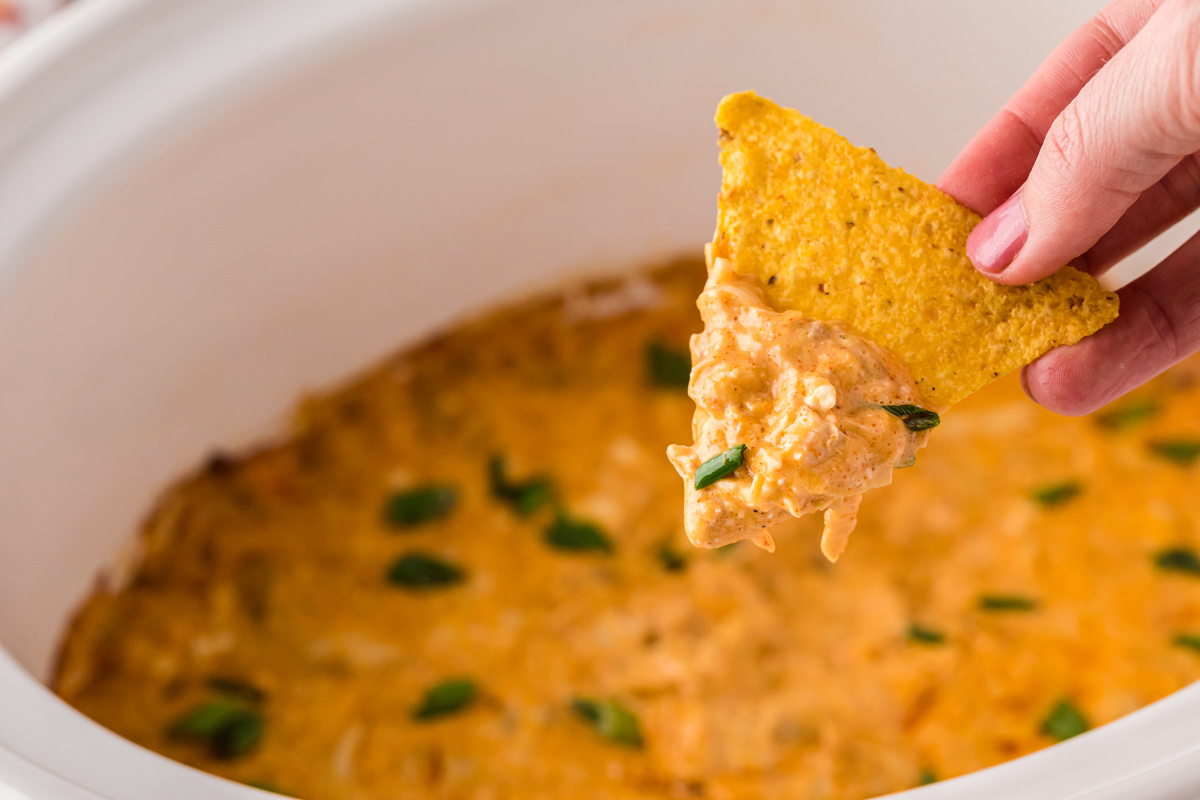 Chicken dip on a chip coming from crockpot.