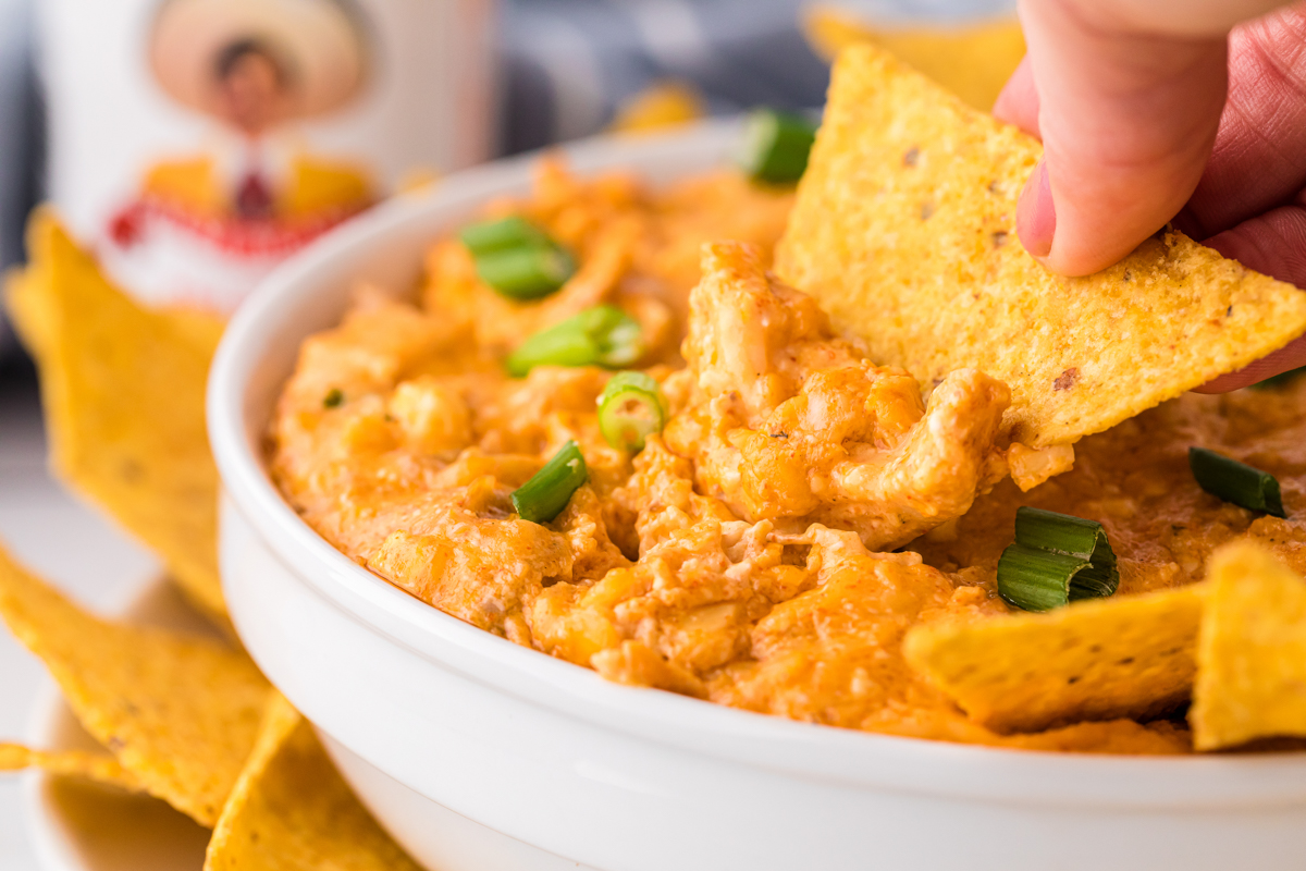 ultra close up of chicken dip on a tortilla chip.