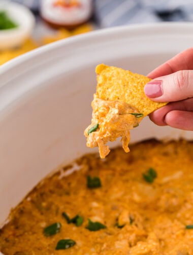 Long image of tapatio chicken dip on a chip.