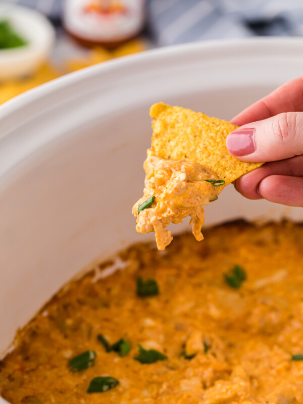 Long image of tapatio chicken dip on a chip.