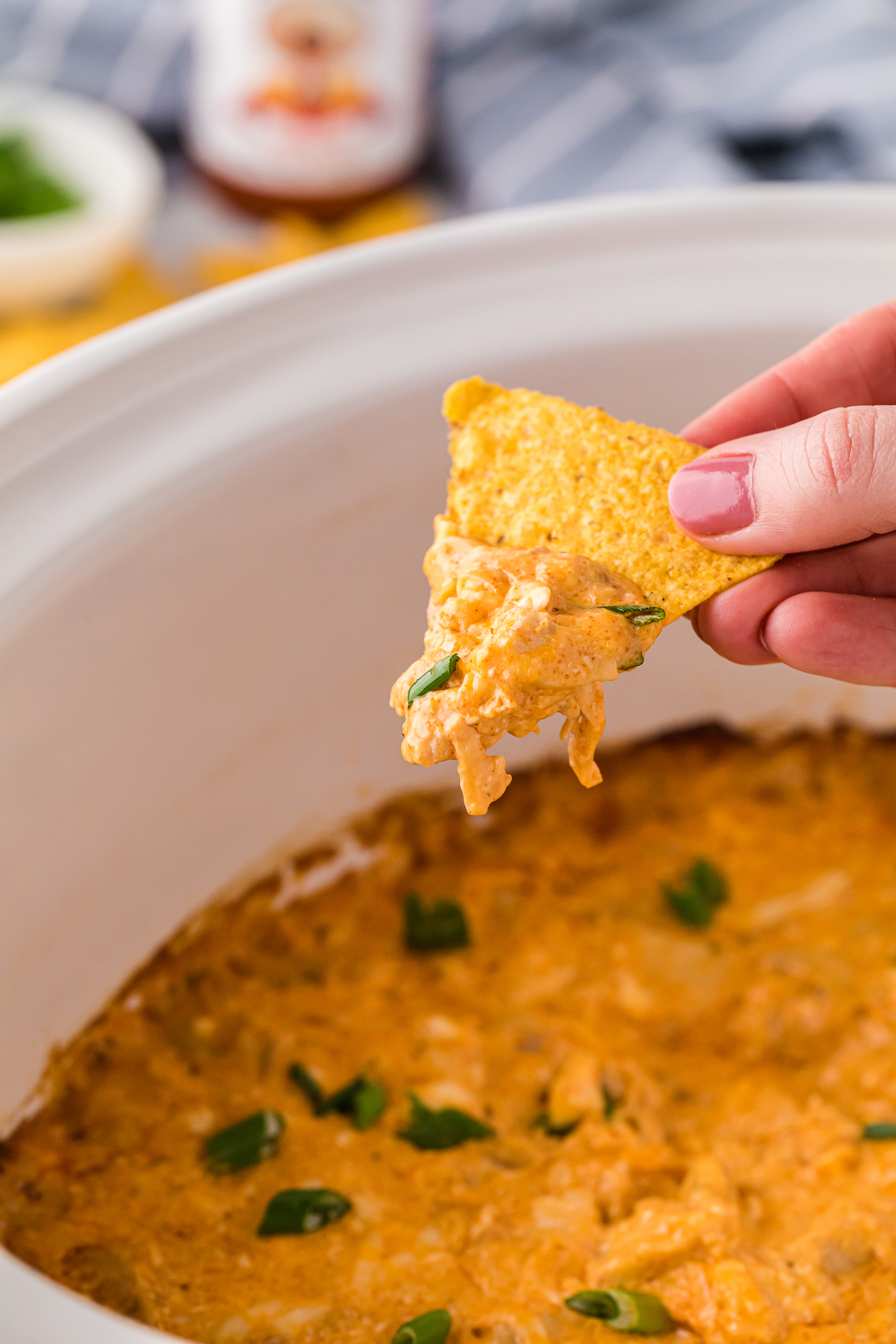 Long image of tapatio chicken dip on a chip.