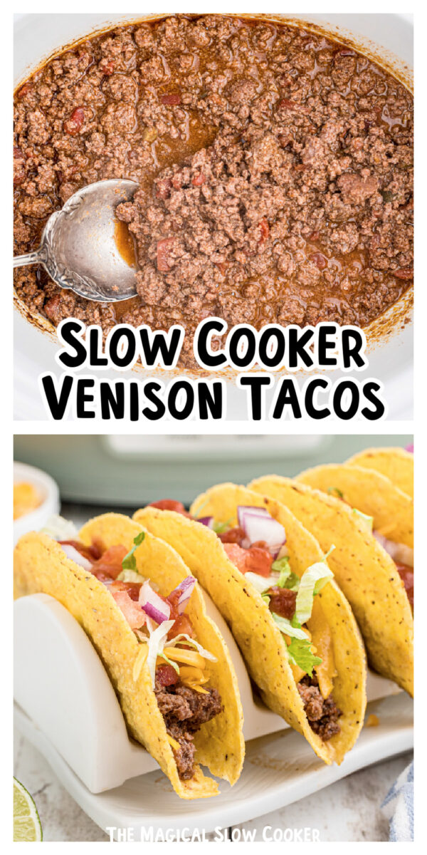 long images of venison tacos for pinterest.