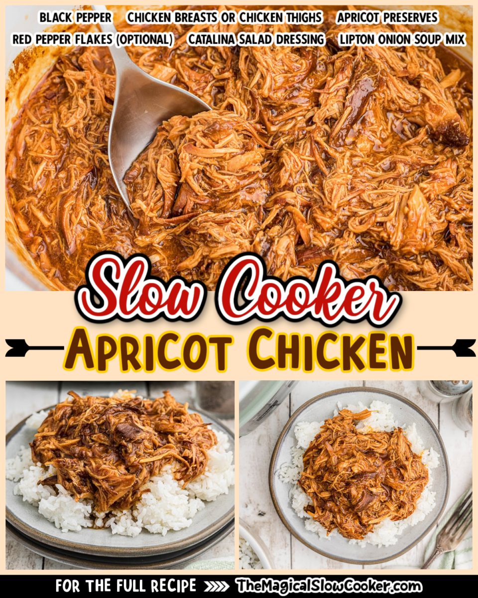 Slow Cooker Apricot Chicken - The Magical Slow Cooker