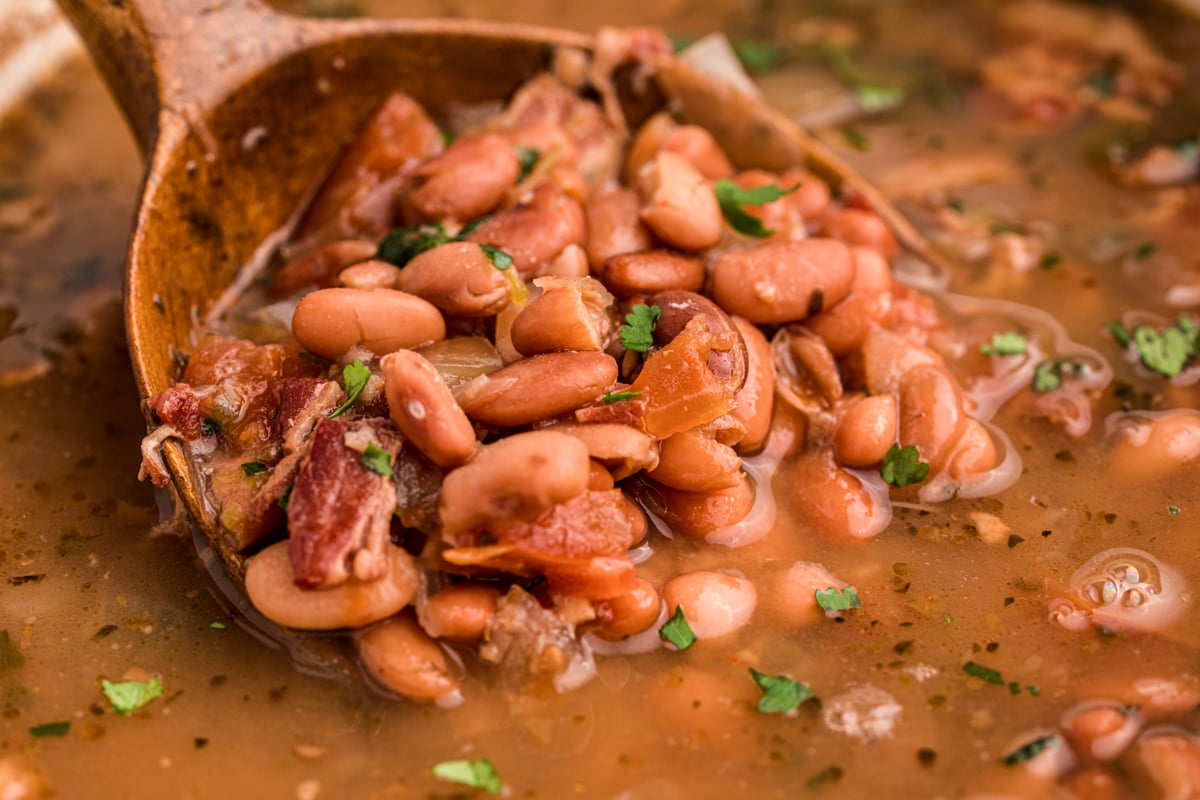 close up of charro bean on a wooden spoon.