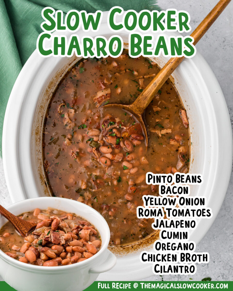 images of pinto beans with text for facebook.