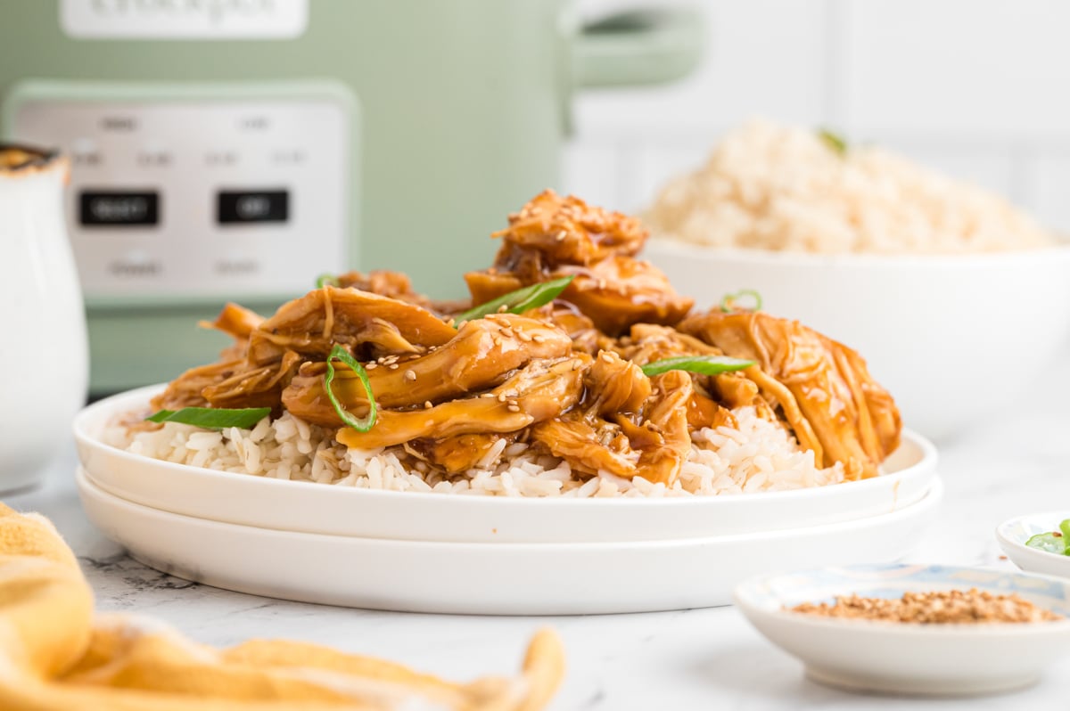 plate with rice and teriyaki chicken.