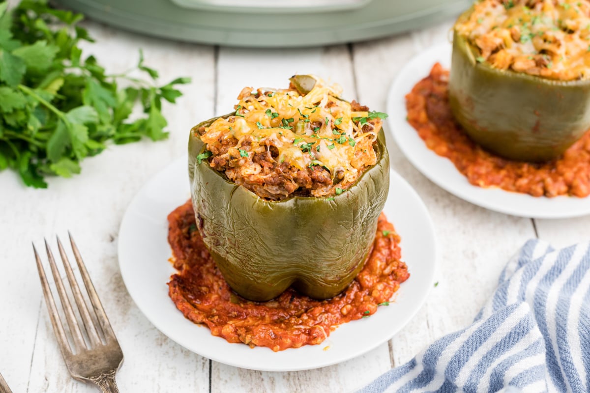 stuffed peppers on a plate.