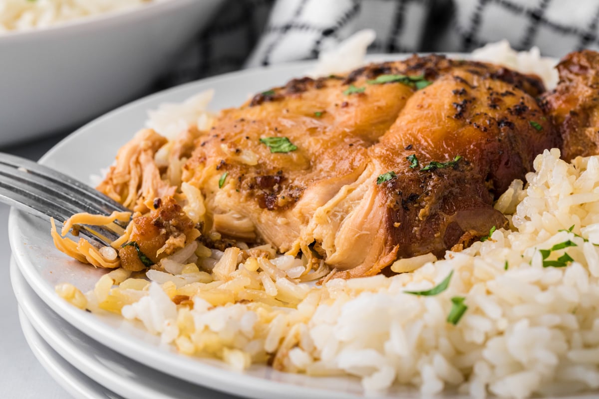 plate with rice and a brown sugar chicken breast.